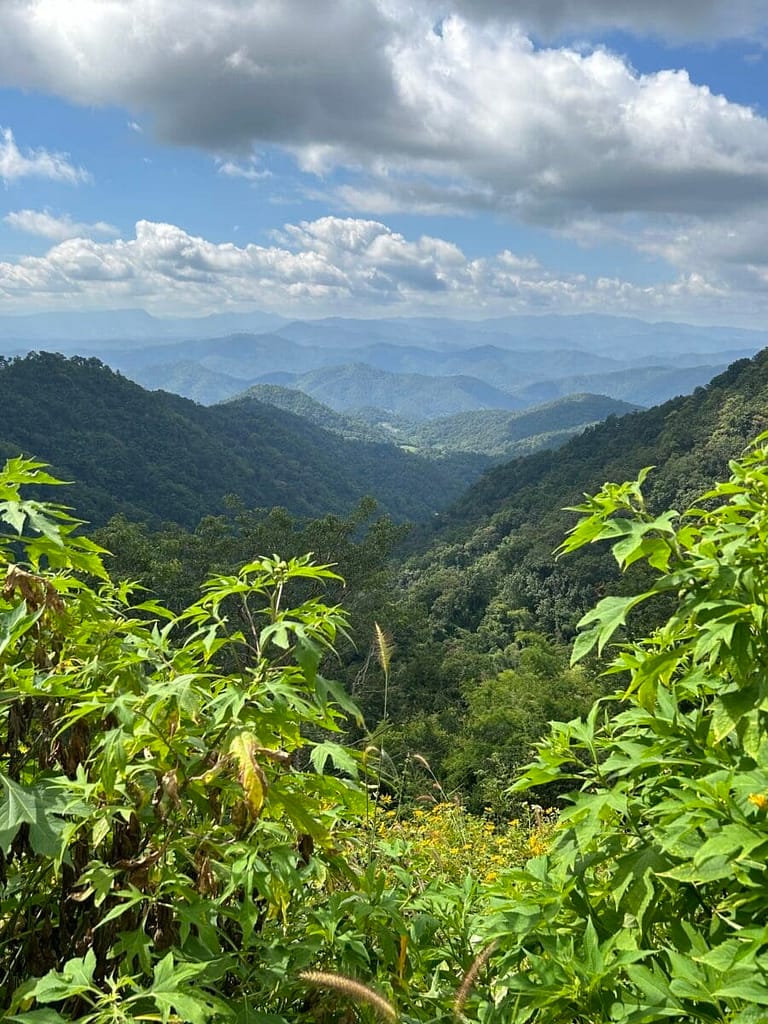 perfect day in chiang mai